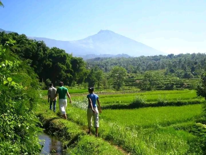 Wina Wani Bungalows Tetebatu Exterior foto